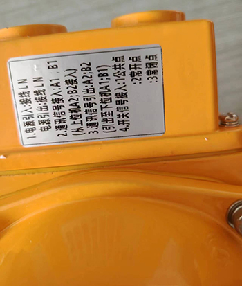 1741145506154612.jpg 2.jpg